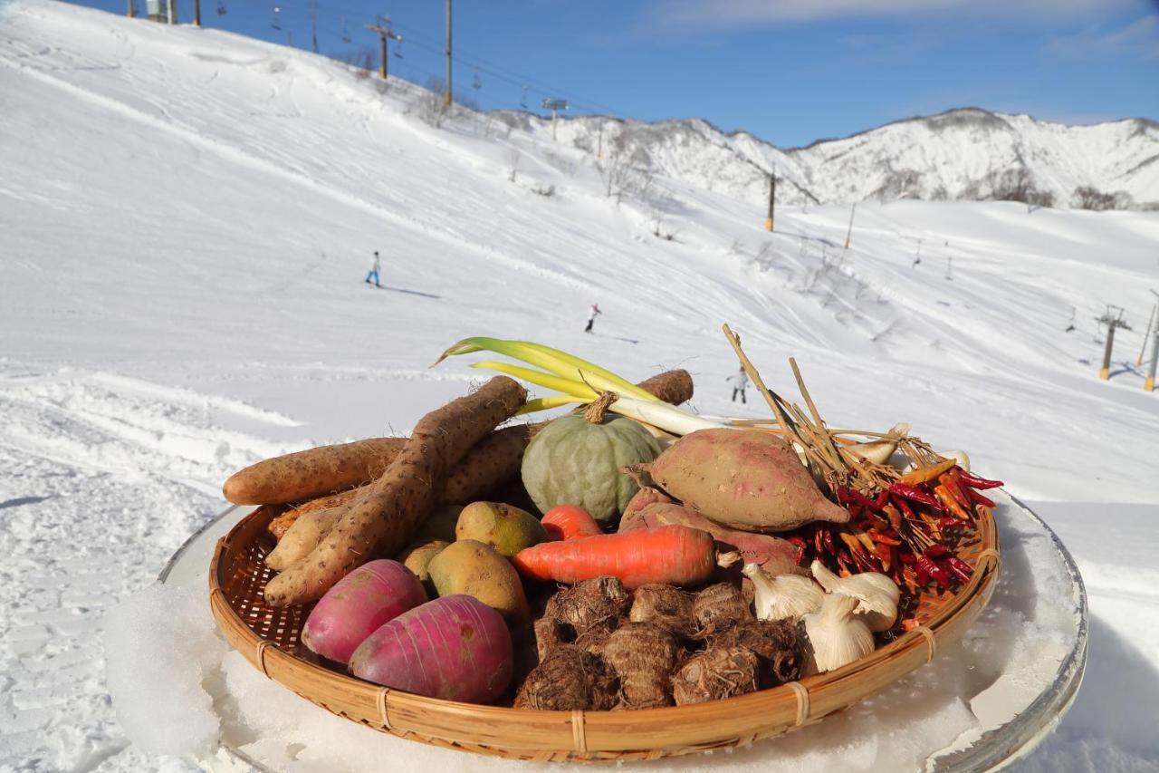 Ishiuchi Ski Center Minamiuonuma Kültér fotó